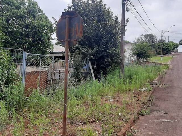 #50 - Terreno para Venda em Cascavel - PR - 1