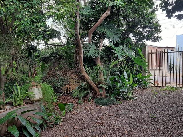 #74 - Terreno para Venda em Cascavel - PR - 3