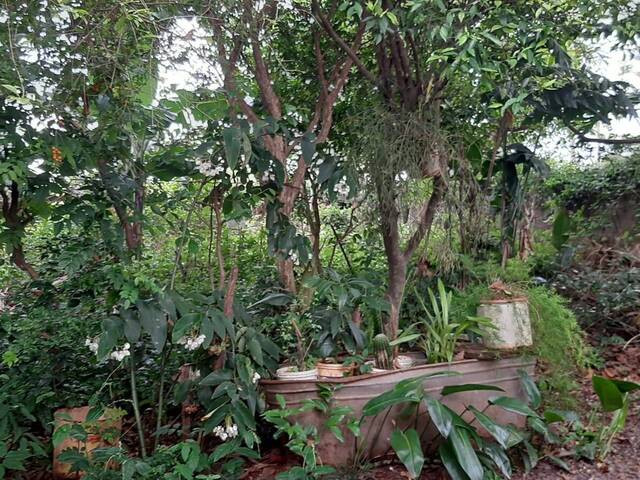 Terreno para Venda em Cascavel - 4