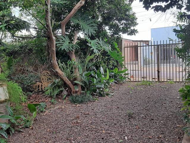 #74 - Terreno para Venda em Cascavel - PR - 1