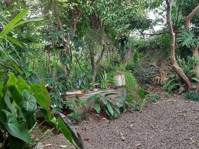 #74 - Terreno para Venda em Cascavel - PR - 1
