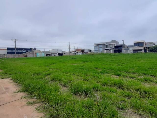 #155 - Terreno para Venda em Cascavel - PR - 3