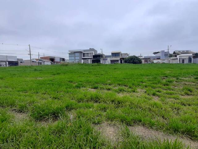 #155 - Terreno para Venda em Cascavel - PR - 2