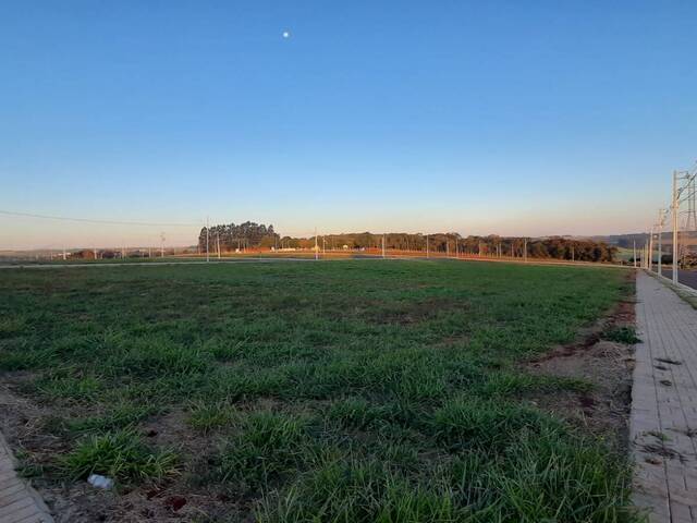 Terreno para Venda em Cascavel - 4