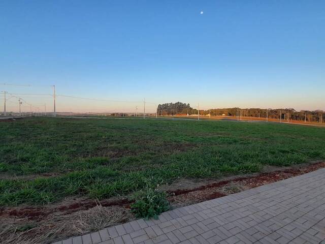 #167 - Terreno para Venda em Cascavel - PR - 1