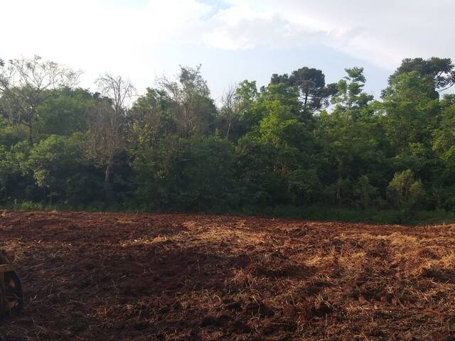 Sítio para Venda em Cascavel - 3