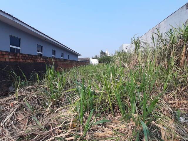 #180 - Terreno para Venda em Cascavel - PR - 3