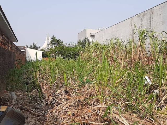 #180 - Terreno para Venda em Cascavel - PR - 2