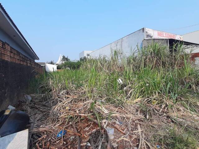 Terreno para Venda em Cascavel - 4