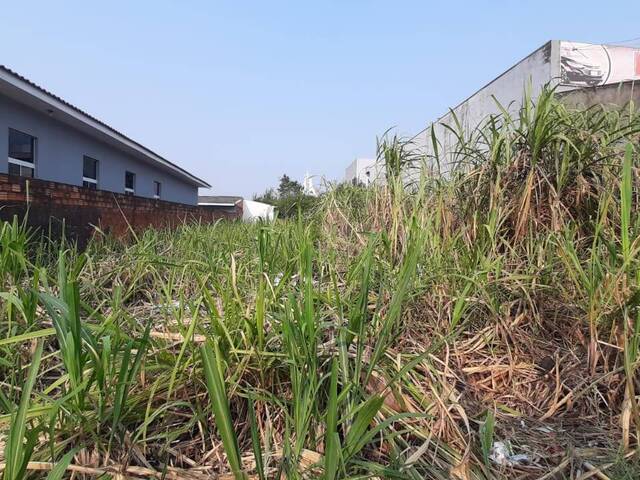 Terreno para Venda em Cascavel - 5