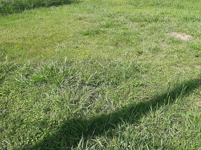 #154 - Terreno para Venda em Cascavel - PR - 3