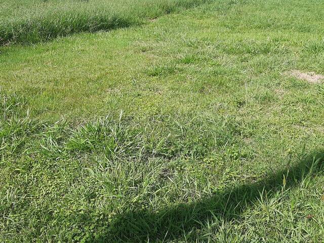 #154 - Terreno para Venda em Cascavel - PR - 2
