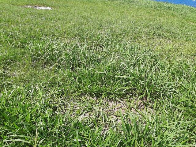 Terreno para Venda em Cascavel - 4