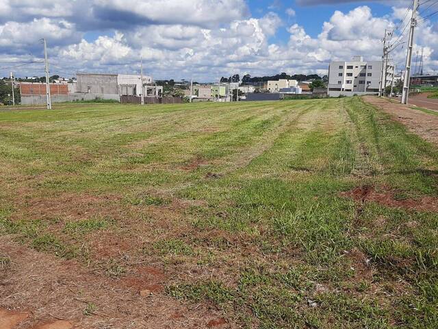 Venda em Brazmadeira - Cascavel