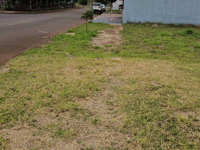 #292 - Área para Venda em Cascavel - PR - 3