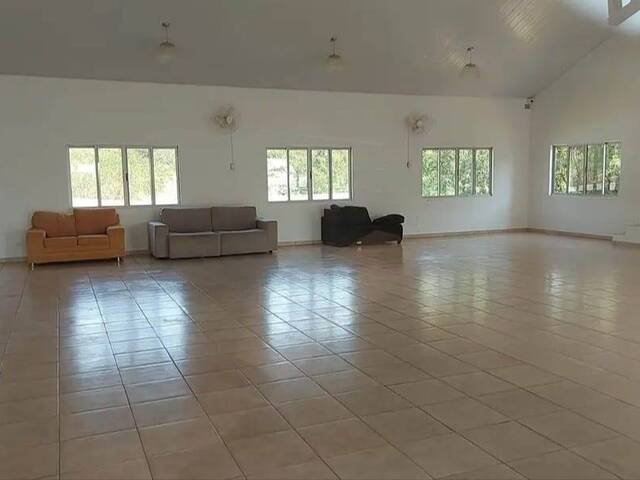 #293 - Apartamento para Venda em Cascavel - PR - 2