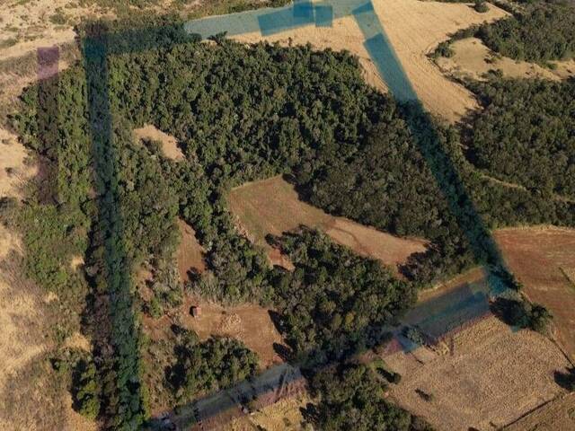 Sítio para Venda em Cascavel - 2