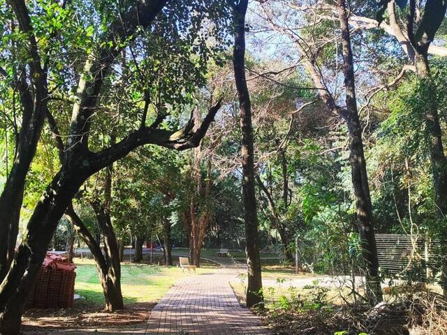 Apartamento para Venda em Cascavel - 5